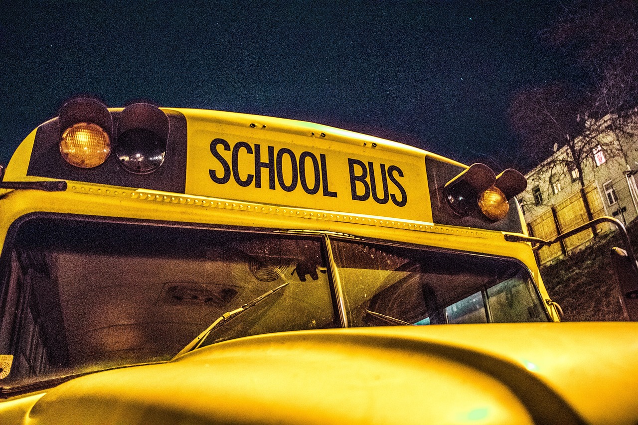 school bus, bus, school, school buses, automobile, usa, training, children, vehicle, buses, to travel, transport, traffic, yellow, school bus, school bus, school bus, school bus, school bus